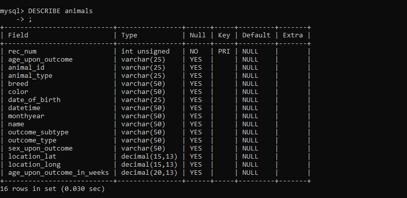 Screenshot of the sql table
